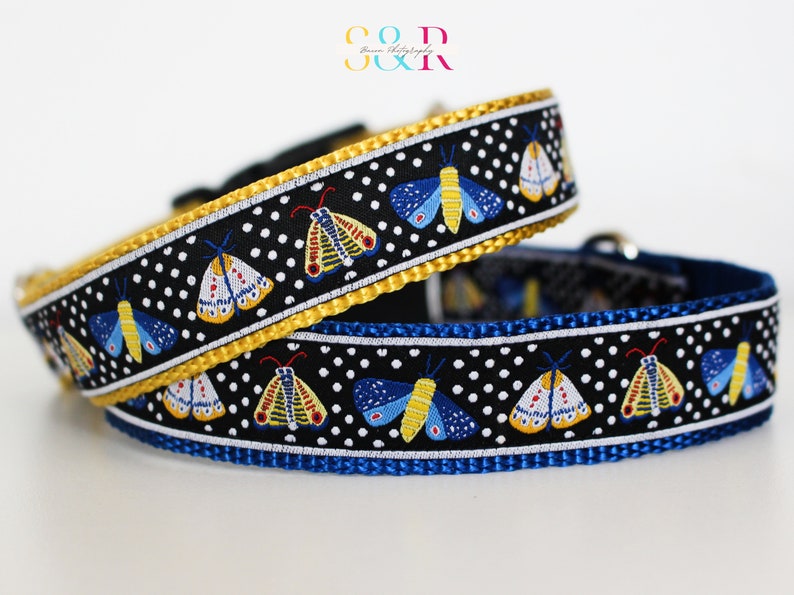 May include: Two dog collars with a black background and white polka dots. The collars are trimmed in yellow and blue and feature a repeating pattern of colorful moths.