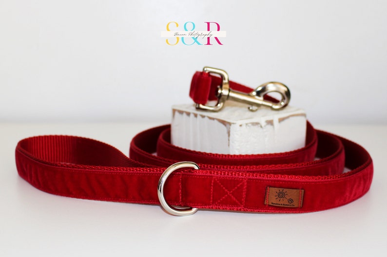 Puede incluir: Correa de perro de terciopelo rojo con un anillo en D plateado y una etiqueta de cuero marr&oacute;n con el texto "Sunburnt & Sleepy".