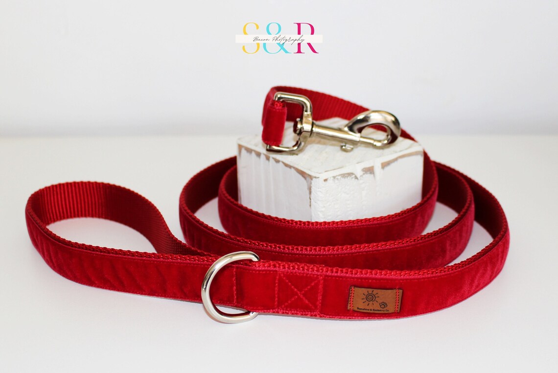 Swiss Dog Collar Red Edelweiss Dog Collar 1 Wide Dog Etsy