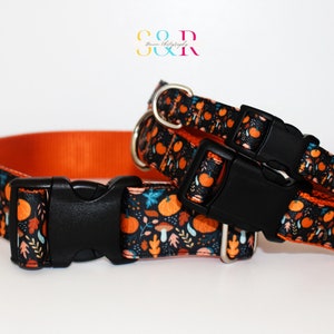 Pumpkin Dog Collar, Mushroom Dog Collar, Fall Dog Collar, Autumn Dog Collar, Cottage Core Dog Collar and Optional Leash Set