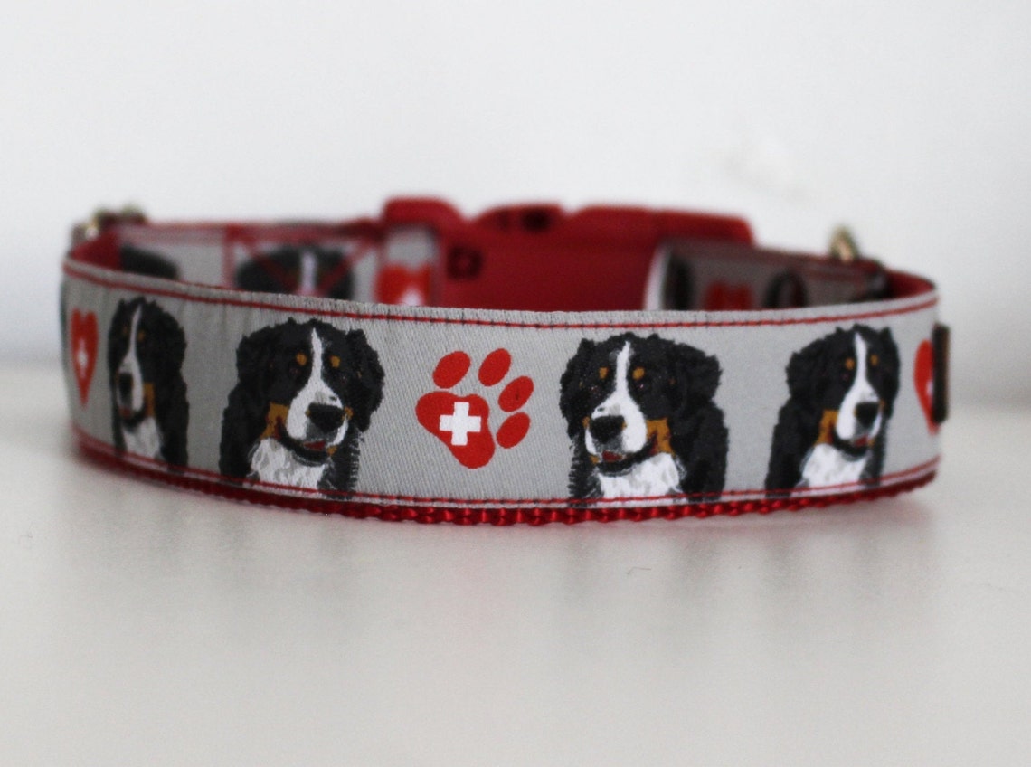 Wide Dog Collar Bernese Mountain Dog Swiss Mountain Dog Etsy