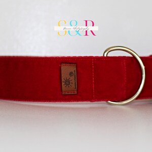 Puede incluir: Collar de perro de terciopelo rojo con hebilla plateada y un peque&ntilde;o parche de cuero marr&oacute;n con un dise&ntilde;o de sol.