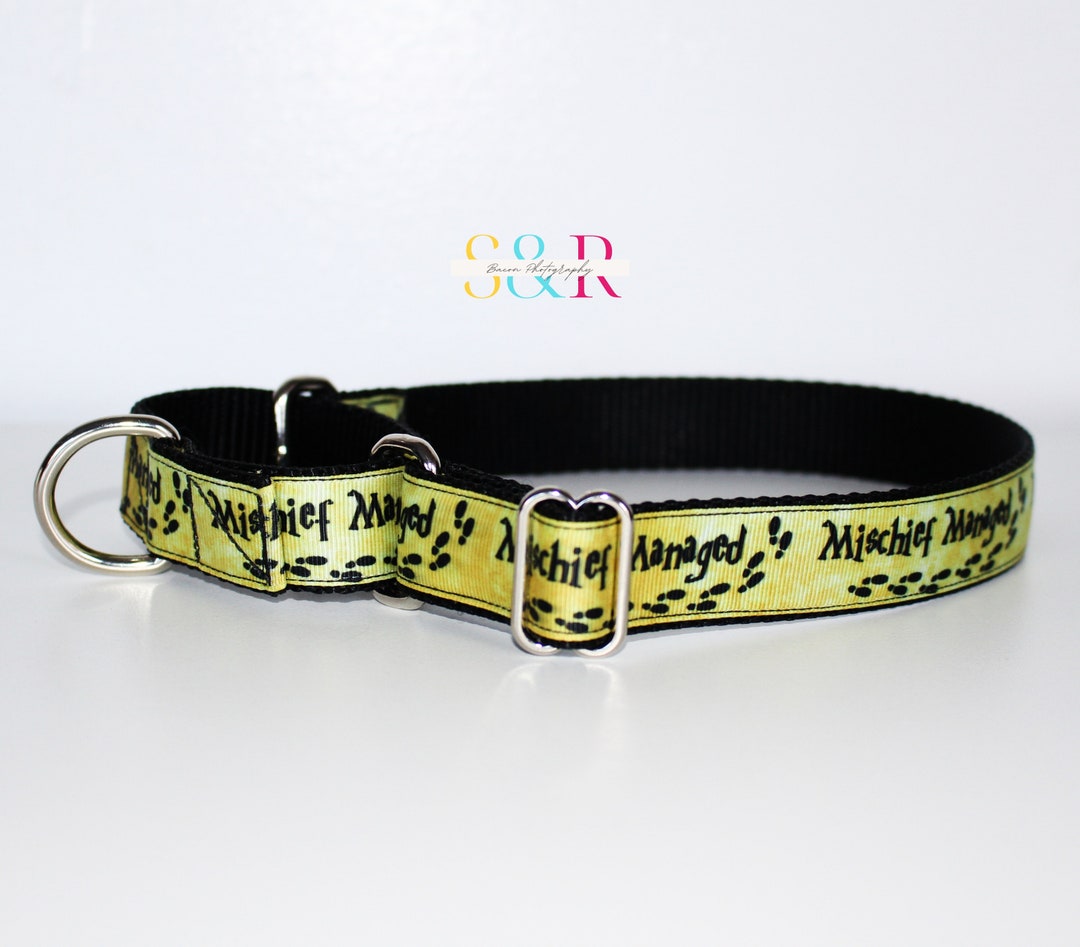 Wizard Dog Collar Managed Mischief Dog Collar 1 Wide Martingale Dog Collar Optional Matching Leash Etsy