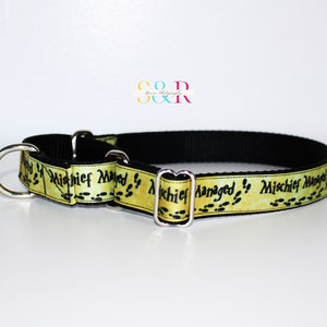 Wizard Dog Collar - Managed Mischief Dog Collar - 1&quot; wide Martingale Dog Collar - Optional Matching Leash