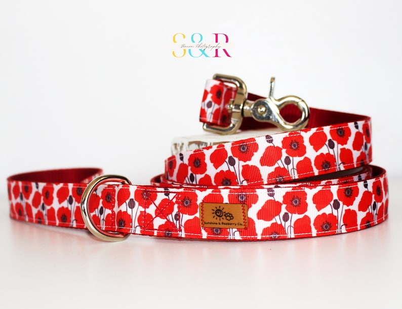 May include: Red and white dog leash and collar set with a poppy flower print. The leash has a silver D-ring and the collar has a silver clip. The set is made by Sunshine & Battery Co.