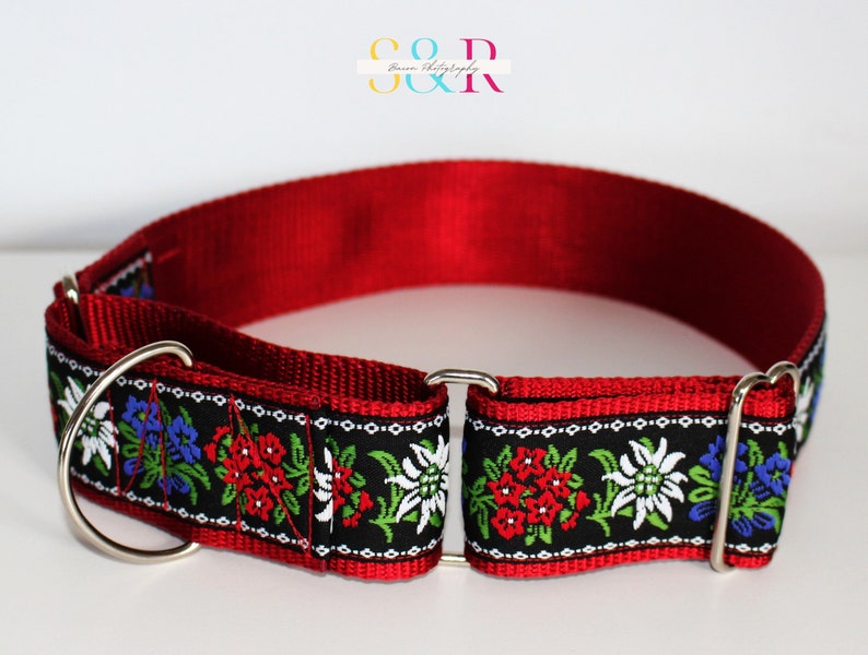 May include: Red dog collar with a black and white floral pattern featuring red, white, blue, and green flowers. The collar has two silver D-rings.