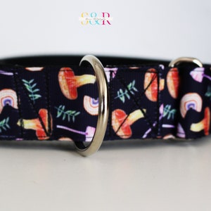 Mushroom Dog Collar, Martingale Dog Collar, Training Collar, Autumn Dog Collar, and Optional Leash Set