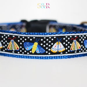 May include: A blue and black dog collar with a white polka dot pattern and colorful moth illustrations.
