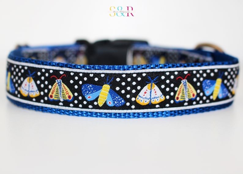 May include: A blue and black dog collar with a white polka dot pattern and colorful moth illustrations.