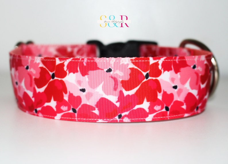 Pretty Red and Pink Floral Dog Collar, Spring Floral Dog Collar, Handmade Dog Collar, Vegan Dog Collar, Spring Gift, Optional Dog Lead imagen 5