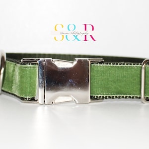 Sage Green Velvet Dog Collar - Velvet Dog Collar - Special Occasion - 1&quot; Adjustable Dog Collar and Optional Leash Set