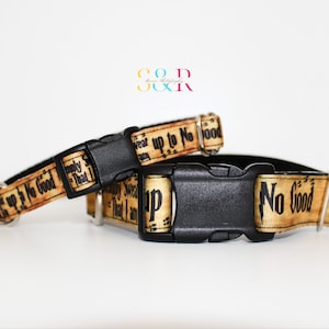 Wizard Dog Collar - Up to No Good Dog Collar - XXS - XL sizes - Adjustable 5/8" or 1" Wide Dog Collar and Optional Leash Set