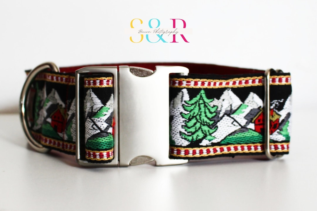 2 Extra Wide Dog Collar, Switzerland Alps, Saint Bernard Bernese