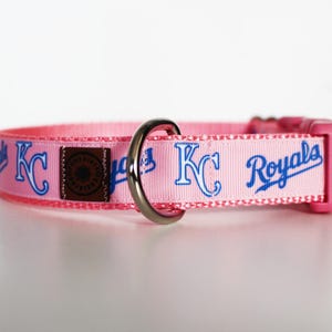 May include: Pink dog collar with a blue and white "KC Royals" design.