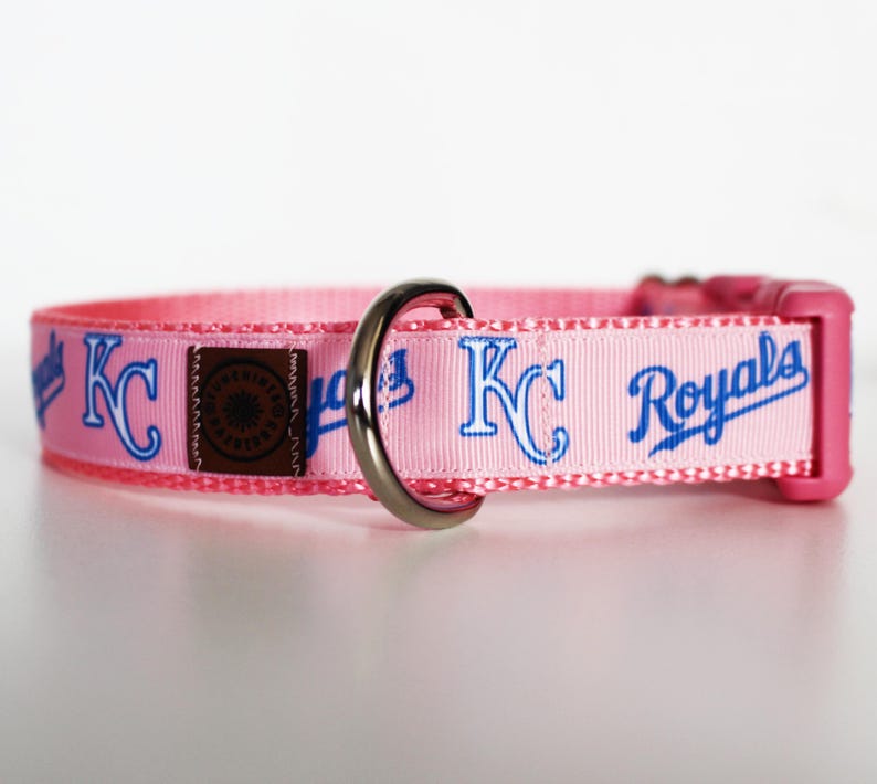 May include: Pink dog collar with a blue and white "KC Royals" design.