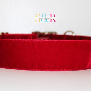 Puede incluir: Primer plano de un collar de perro de terciopelo rojo con herrajes plateados.
