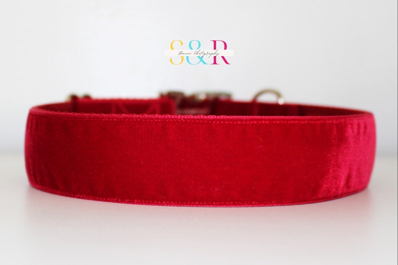 Puede incluir: Primer plano de un collar de perro de terciopelo rojo con herrajes plateados.