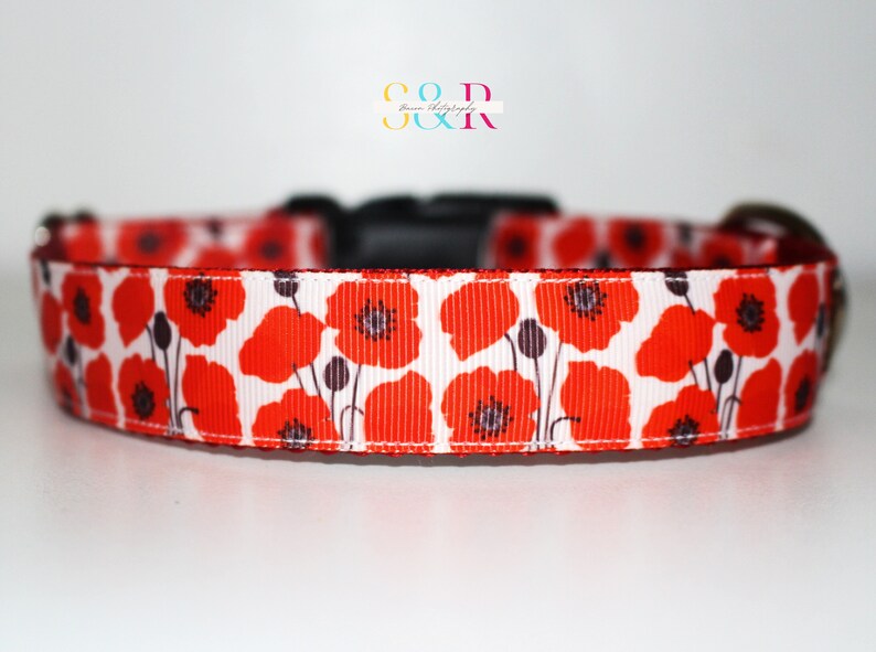 May include: A white dog collar with a red poppy floral print. The collar has a black plastic buckle.