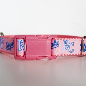 May include: Pink dog collar with a blue and white Kansas City Royals logo. The collar has a plastic buckle.