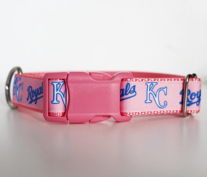 May include: Pink dog collar with a blue and white Kansas City Royals logo. The collar has a plastic buckle.