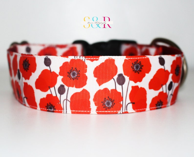 May include: A white dog collar with a red poppy floral print. The collar has a black buckle and a silver D-ring.