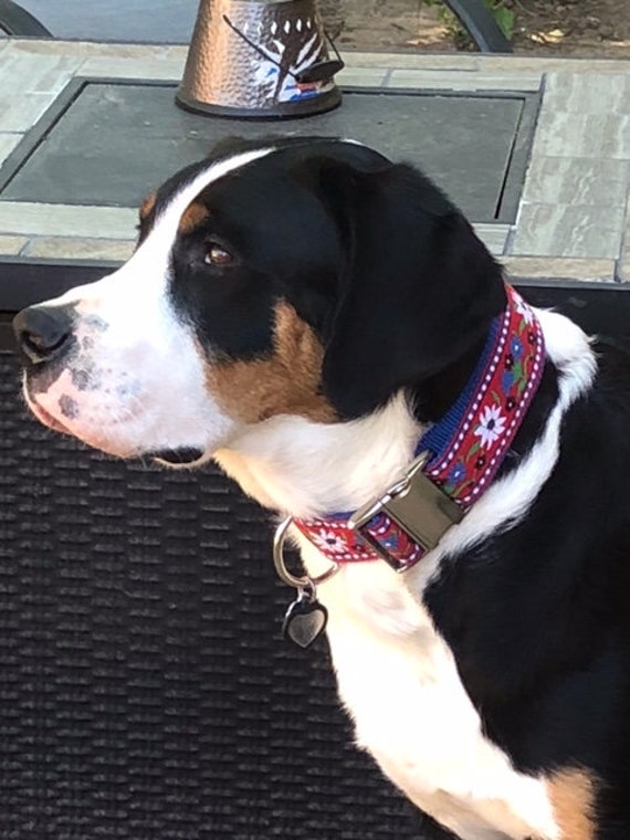 Extra Wide Dog Collar Swiss Dog Collar Red Edelweiss Dog Collar Greater Swiss Mountain Dog Bernese Mountain Dog 2 Wide Etsy Canada
