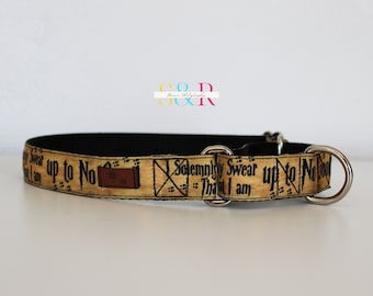 Wizard Dog Collar - Up To No Good Martingale Dog Collar - 1" wide Adjustable Dog Collar - Optional Matching Leash Set