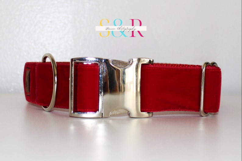 Puede incluir: Collar de perro de terciopelo rojo con hebilla plateada y un anillo en D plateado.