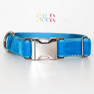 Turquoise Velvet Dog Collar - Turquoise Dog Collar - Special Occasion Dog Collar - Girl or Boy Dog Collar and Optional Leash Set