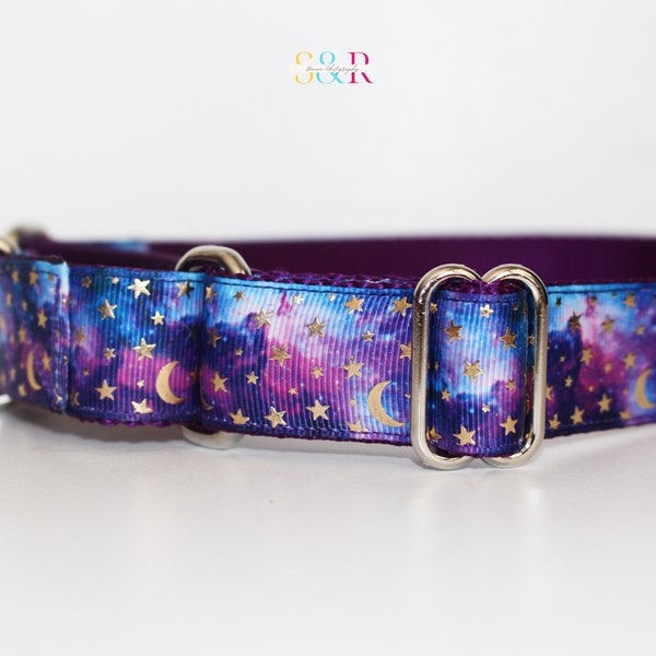 Luna Moon Stars Dog Collar: Purple Blue Night Sky Martingale Collar