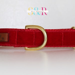 Puede incluir: Collar de perro de terciopelo rojo con herrajes dorados y un parche de cuero marr&oacute;n con un logotipo de sol y huella de pata que dice "Snuggle & Harmony Co."