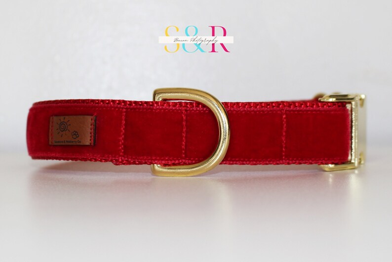 Puede incluir: Collar de perro de terciopelo rojo con herrajes dorados y un parche de cuero marr&oacute;n con un logotipo de sol y huella de pata que dice "Snuggle & Harmony Co."