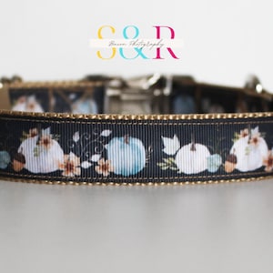 Pumpkin Dog Collar - Boho Pumpkin Dog Collar - Autumn Dog Collar - Fall Dog Collar - 1" wide Adjustable Dog Collar and Leash Set