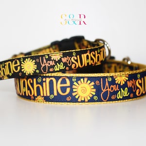 You Are My Sunshine Dog Collar: Adjustable Collar