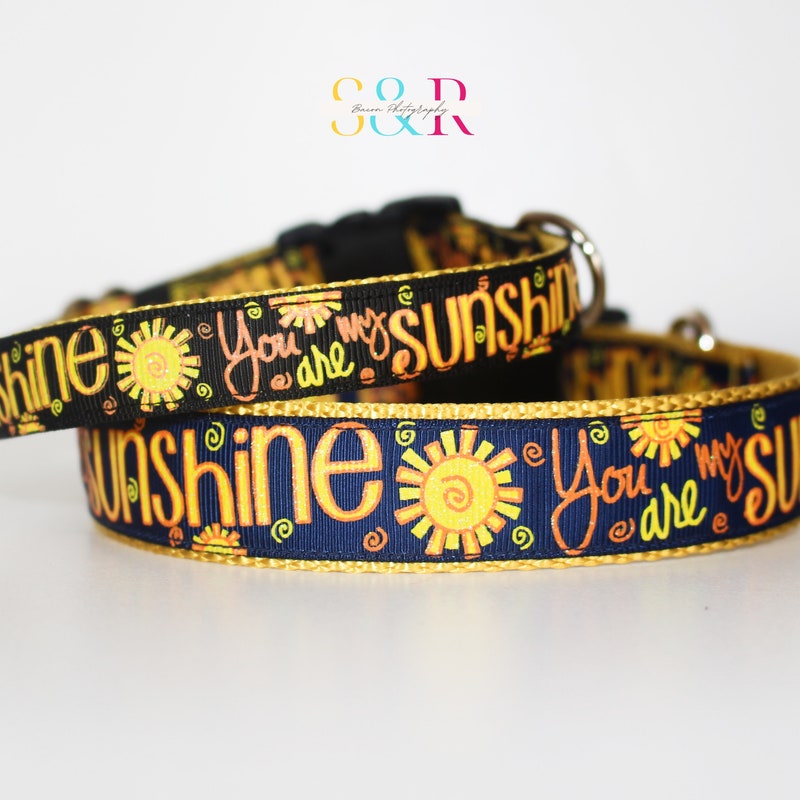 Pet Collar Sunshine - Etsy