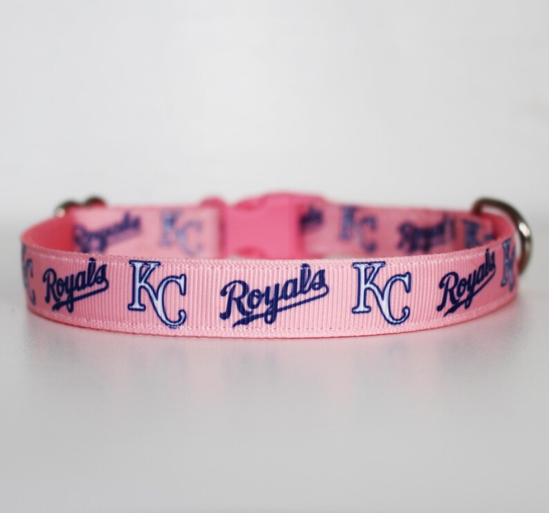 May include: Pink dog collar with a repeating pattern of blue "KC Royals" text.