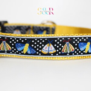 May include: A black and white dog collar with a yellow border and a repeating pattern of colorful moths on a white polka dot background.