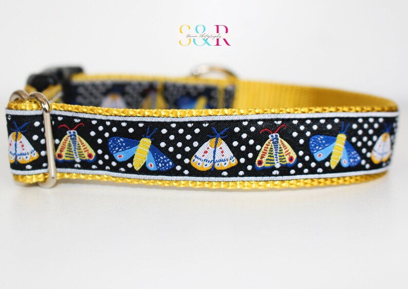 May include: A black and white dog collar with a yellow border and a repeating pattern of colorful moths on a white polka dot background.