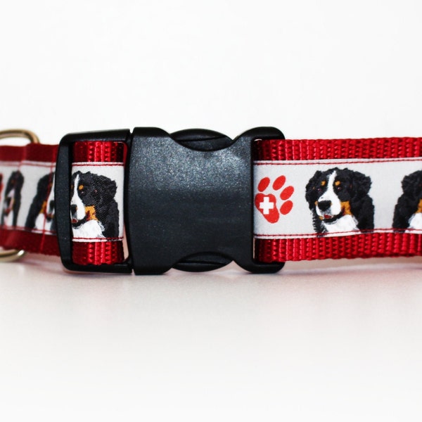 Bernese Mountain Dog Collar - Boy or Girl Dog Collar - 1 1/2 or 1" Wide Adjustable Dog Collar