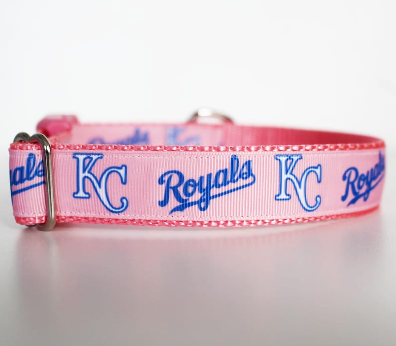 May include: Pink dog collar with a blue and white "KC Royals" design.