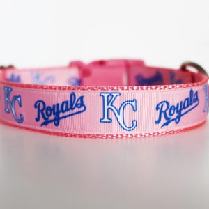 May include: Pink dog collar with a blue and white "KC Royals" design.