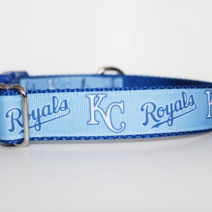 May include: A light blue dog collar with a white and blue "KC Royals" pattern.