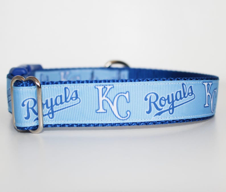 May include: A light blue dog collar with a white and blue "KC Royals" pattern.