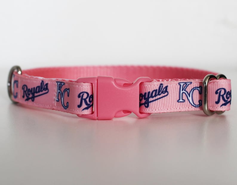 May include: Pink dog collar with a blue and white Kansas City Royals logo.