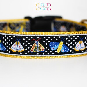 May include: A black and white dog collar with a yellow border and a pattern of colorful moths on a white polka dot background.