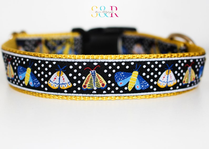 May include: A black and white dog collar with a yellow border and a pattern of colorful moths on a white polka dot background.