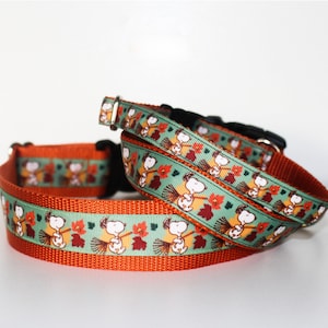 Fall Leaves Dog Collar, Raking The Leaves Dog Collar, Adjustable Dog Collar, and optional Leash