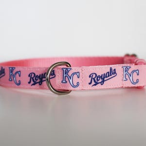 May include: Pink dog collar with a silver buckle and a repeating pattern of "KC Royals" in blue lettering.