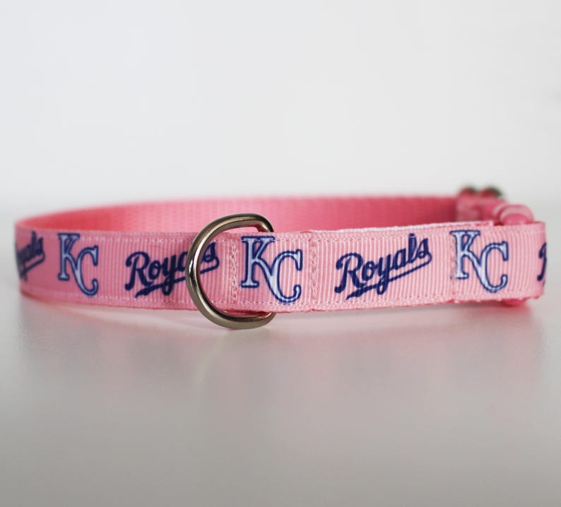 May include: Pink dog collar with a silver buckle and a repeating pattern of "KC Royals" in blue lettering.