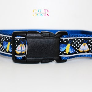 May include: A blue dog collar with a black and white polka dot pattern and a colorful butterfly design. The collar has a black plastic buckle.